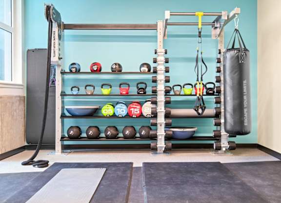 A gym with a blue wall and a rack of kettlebells.
