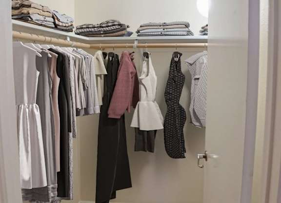 Spacious Closet at Lake Tower, Idaho