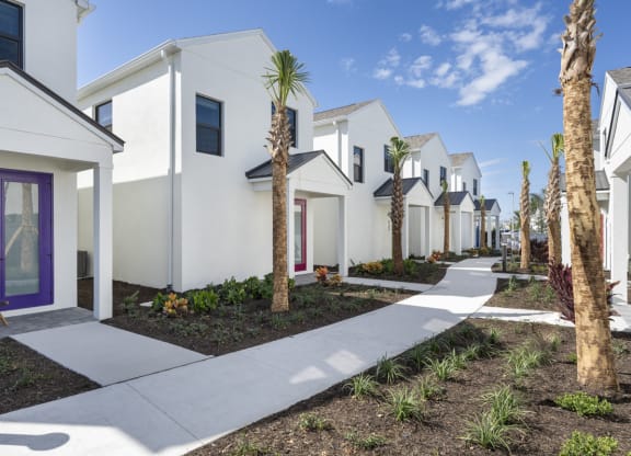 a row of white houses with palm trees