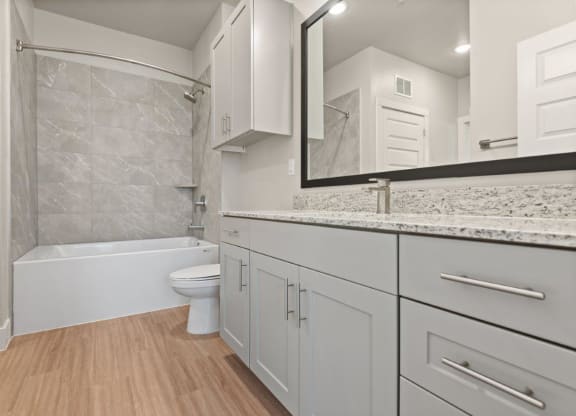 a bathroom with a sink and a toilet and a shower