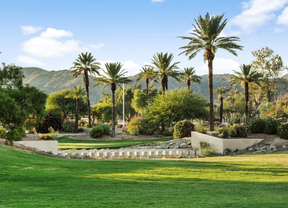 a view of a garden with palm trees and mountains in the background