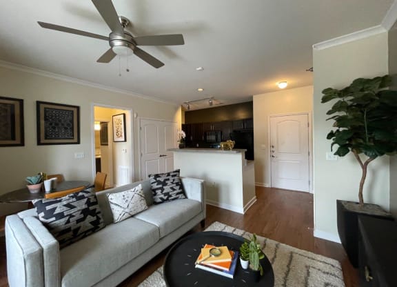 North Gate Apartment Homes Model Living Room