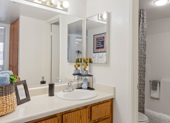 North Mountain Village Bathroom with Bathtub