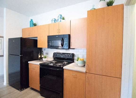 a kitchen with a black stove and a black refrigerator