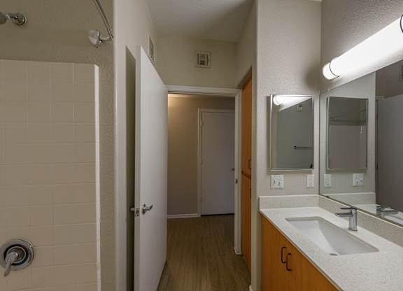 a bathroom with a sink and a mirror and a shower