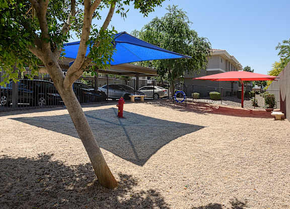 a tree casts a shadow on the ground in a courtyard