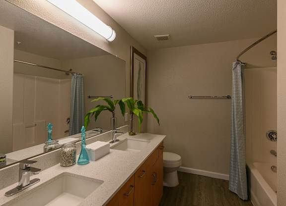 a bathroom with a sink and a mirror and a shower