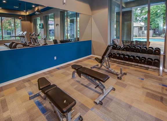 a gym with weights and a blue wall and a row of windows