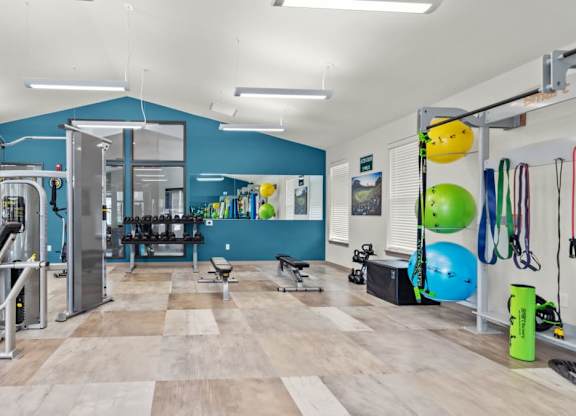 A gym with a variety of equipment including a squat rack, a bench press, and a treadmill.