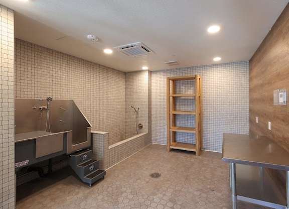 A bathroom with a shower and a wooden cabinet.