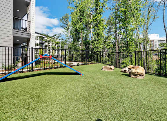 Skye Suwanee Town Center Apartments in Suwanee, Georgia Dog Park