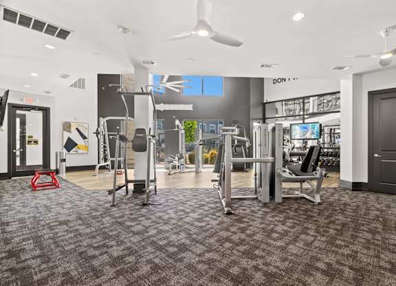 A gym with a variety of equipment including treadmills, weights, and a squat rack.