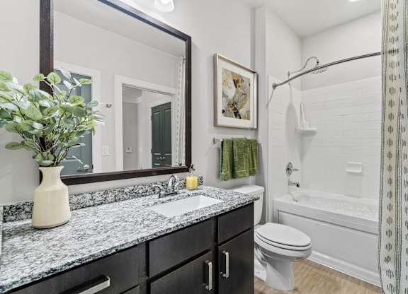 Axis at Watters Creek Apartments in Allen, Texas Model Bathroom
