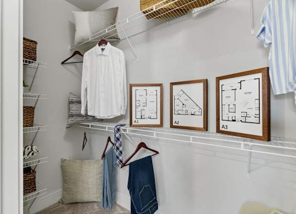 Axis at Watters Creek Apartments in Allen, Texas Walk-In Closet