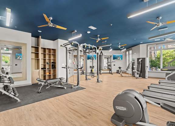 A gym with a variety of equipment including treadmills, weights, and a bench press.