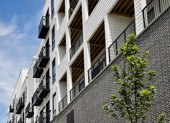 A modern building with balconies and a tree in front.
