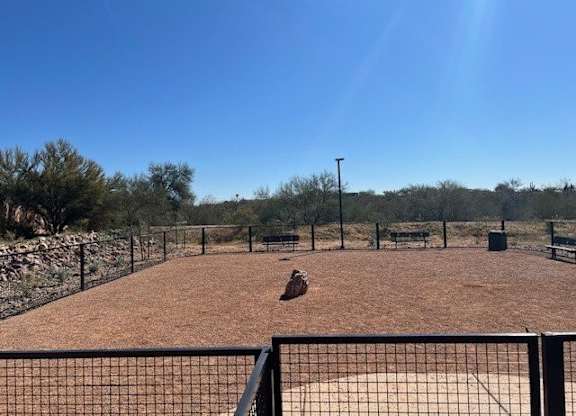 A dog is sitting on a dirt ground behind a fence.