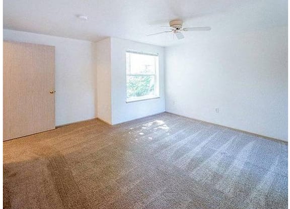 A room with a ceiling fan and a window with a view of trees.