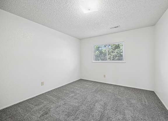A room with a carpeted floor and a window showing trees outside.