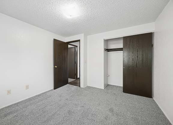 A room with a carpeted floor and two doors.
