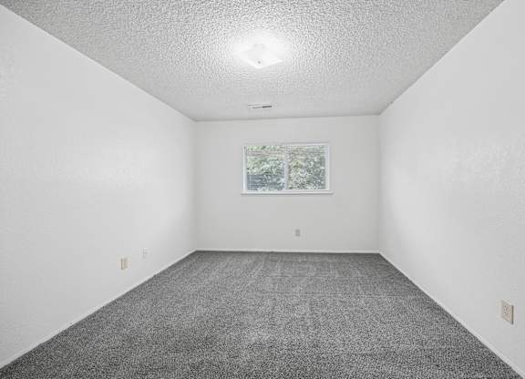 A room with a grey carpet and a window showing trees outside.