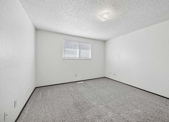 A white room with a grey carpet and a window.