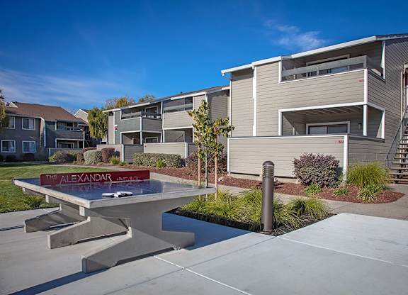 The Alexandar Outdoor Ping Pong Table and Apartment Homes Exterior