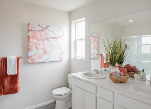 Residences at Butler Creek Model Bathroom