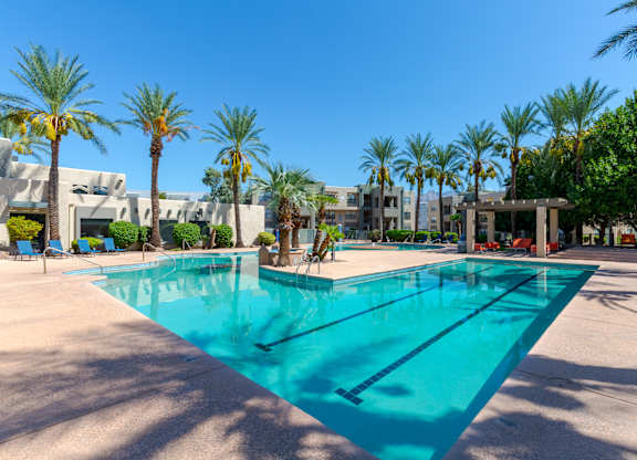 A large swimming pool surrounded by palm trees.