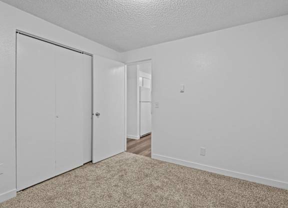 A white room with a carpeted floor and two doors.
