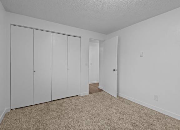 A room with white walls and a carpeted floor with three white doors.
