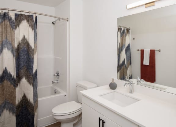 South Ridge Apartments Model Bathroom