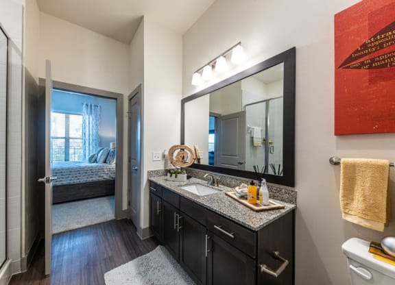 Cromwell at Plum Creek Apartments Model Bathroom