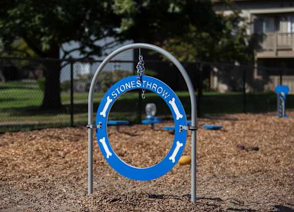 Stonesthrow Apartment Dog Park Toy