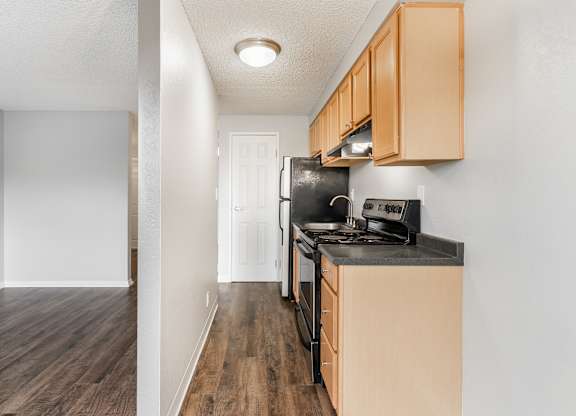 Luxe at Meridian Apartments Studio Kitchen