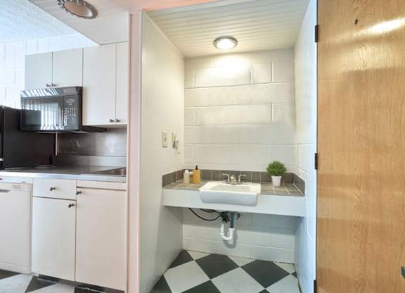 The Hudson Apartments Sink and Kitchen