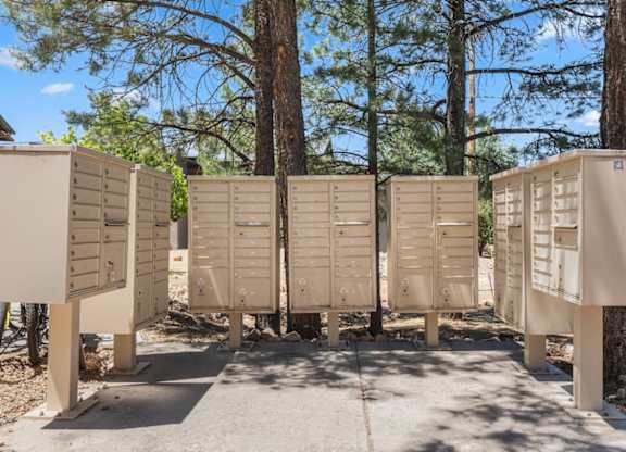 A row of portable toilets are lined up in the sun.
