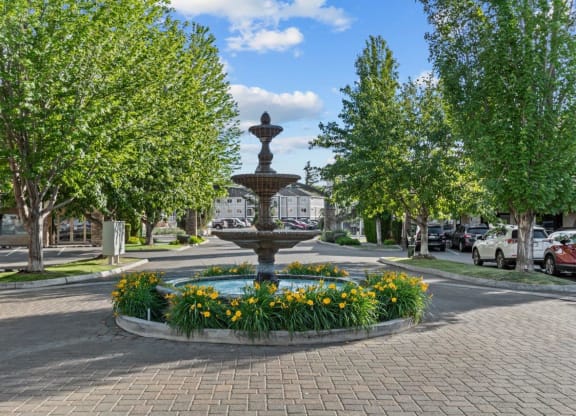 Beautiful Water Fountain Near Street and Parking