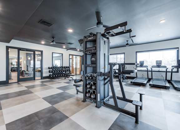 A gym with a variety of equipment including treadmills, weights, and a squat rack.