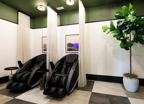 Two black massage chairs are in front of a green plant.