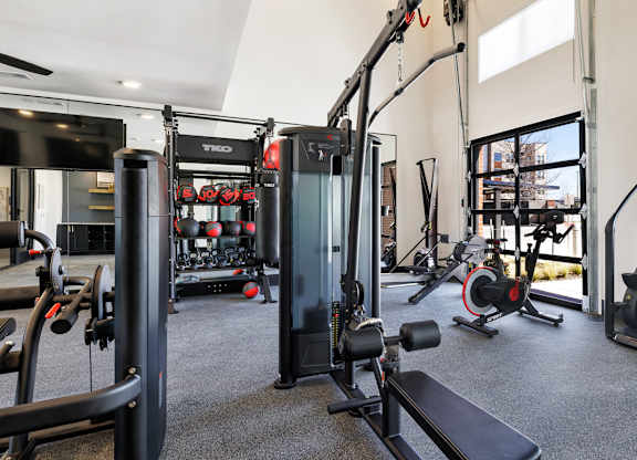 A gym with a variety of equipment including a treadmill, weights, and a bench press.