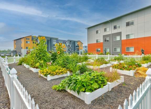 A garden with white picket fences and a variety of plants.
