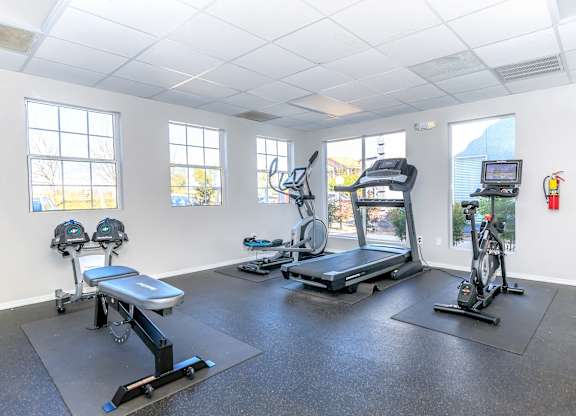A gym with a treadmill, exercise bike, and rowing machine.