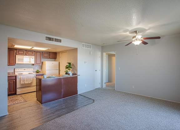 A room with a ceiling fan and a carpeted floor.