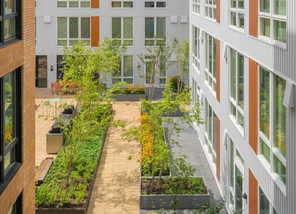 a courtyard with trees and plants in front of a building