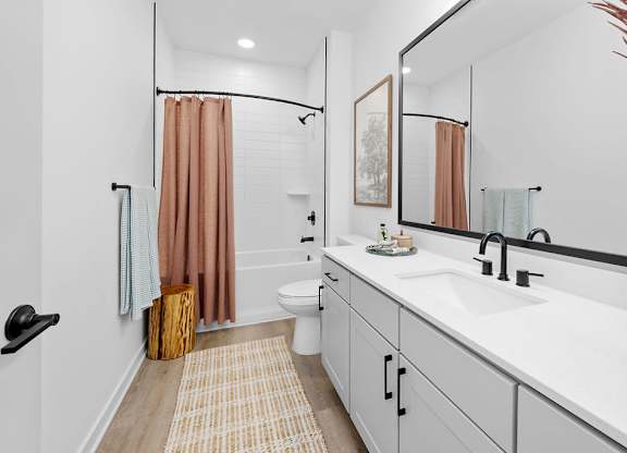 A bathroom with a white sink and a brown rug.