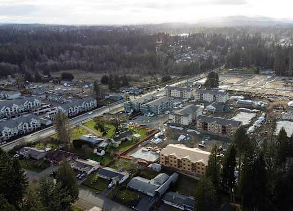 Aerial view of The Elowen apartment construction in Lacey WA amid towering evergreen trees on an overcast Pacific Northwest day.
