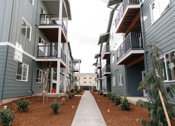 New apartment buildings at The Elowen in Lacey WA with emerging landscaping and young trees during construction progress.