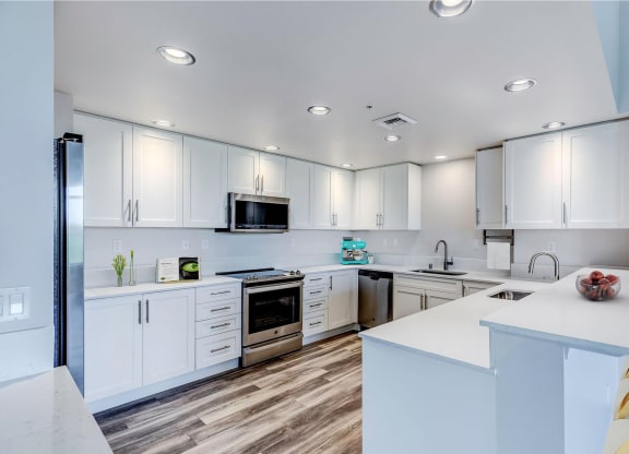 The Mercer Apartments Penthouse Kitchen