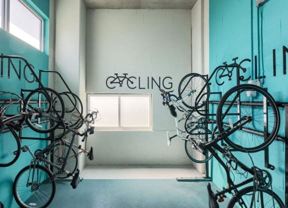 Lyra on McKinney Bike Storage Room